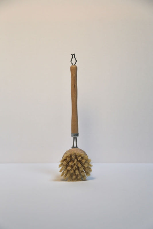 Dish brush
