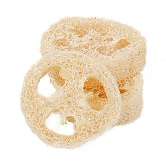 Loofah slice
