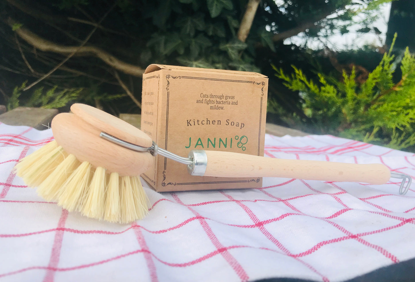 Dish brush