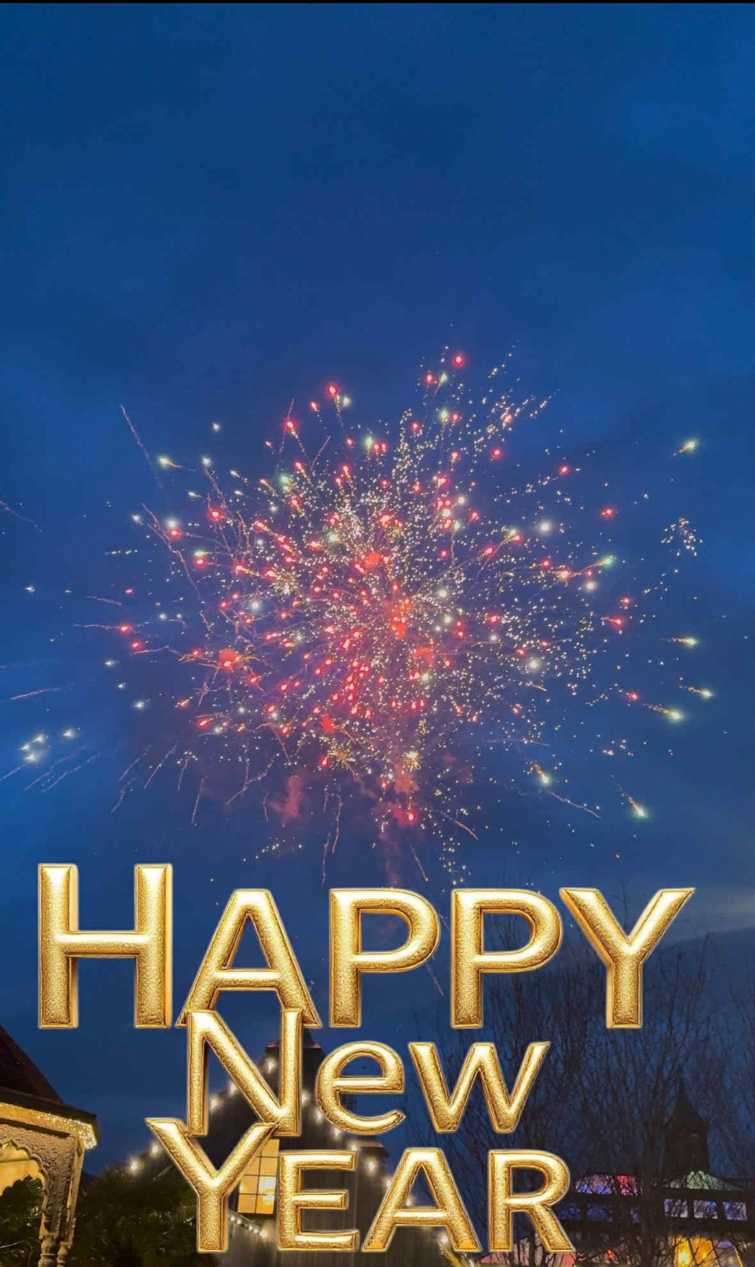 A Year of Janni Bars: Highlights, Favourites &amp; Thank Yous